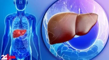 تنظيف الكبد من السموم.. 3 مشروبات شهية تعيد له حيويته ونشاطه